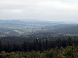 YS-025.jpg