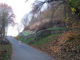 ZB-017.jpg