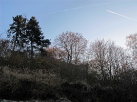 ZB-018.jpg