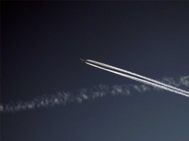 ZB-019.jpg