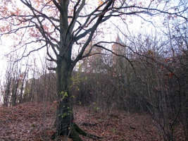 ZB-067.jpg