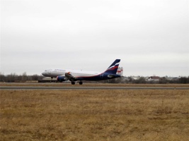 Zp-080.jpg