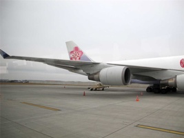 Zp-115.jpg