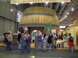ZV-271.jpg