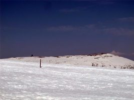 AAG-539.jpg