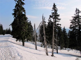 AAG-577.jpg