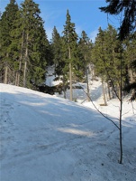 AAG-602.jpg