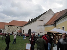 AAN-087.jpg