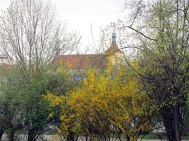 AAO-057.jpg