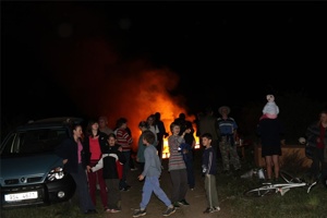 AAV 064.jpg