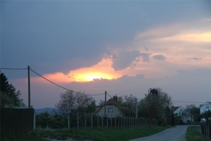 AAV 001.jpg