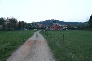 AAV 005.jpg