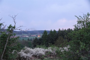 AAV 014.jpg