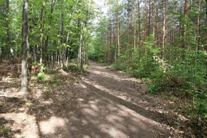 ABC 009.jpg
