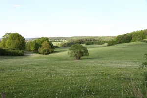 ABC 065.jpg