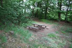 ABG 008.jpg