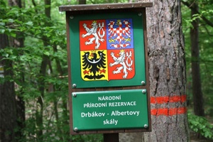 ABG 011.jpg
