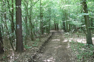 ABG 012.jpg