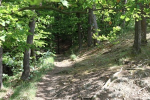 ABG 026.jpg