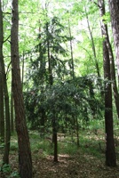 ABG 029.jpg