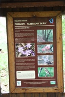 ABG 034.jpg