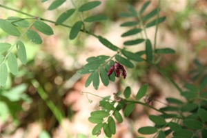ABG 054.jpg
