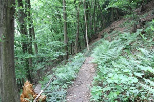 ABG 060.jpg