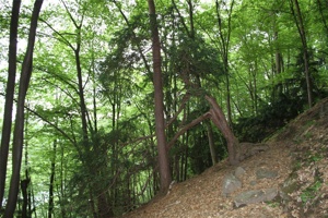 ABG 069.jpg