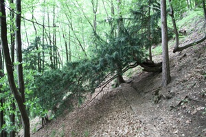 ABG 070.jpg