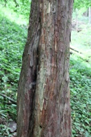 ABG 076.jpg