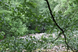 ABG 096.jpg