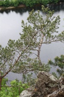 ABG 110.jpg