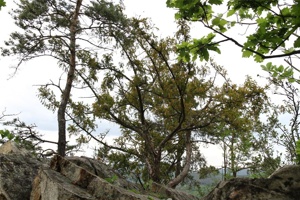 ABG 111.jpg