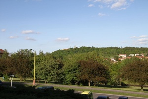 ABJ 028.jpg