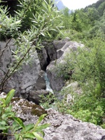 16.6.2004-14-11-40.jpg