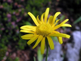 16.6.2004-15-33-34.jpg
