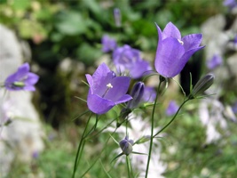16.6.2004-15-36-28.jpg
