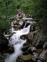 17.6.2004-08-02-50.jpg