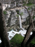 17.6.2004-08-20-48.jpg