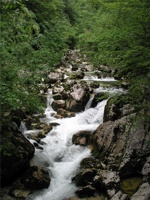 17.6.2004-08-37-44.jpg