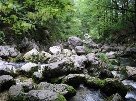 17.6.2004-08-42-58.jpg