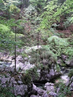 17.6.2004-08-50-40.jpg