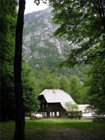17.6.2004-08-55-01.jpg
