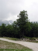 17.6.2004-09-59-13.jpg