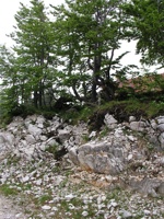 17.6.2004-09-59-35.jpg