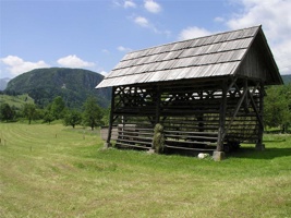 17.6.2004-11-39-52.jpg