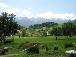 17.6.2004-11-50-04.jpg