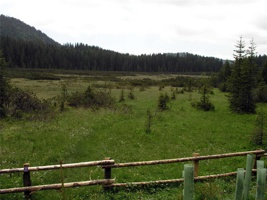 17.6.2004-12-29-30.jpg