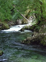 17.6.2004-15-17-35.jpg