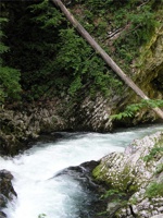 17.6.2004-15-18-55.jpg